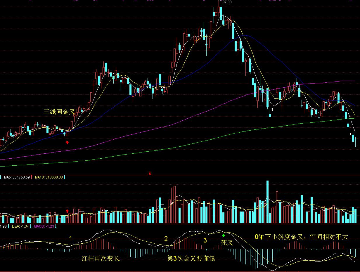 放飞和平鸽 纪念大会在《歌唱祖国》大合唱中结束