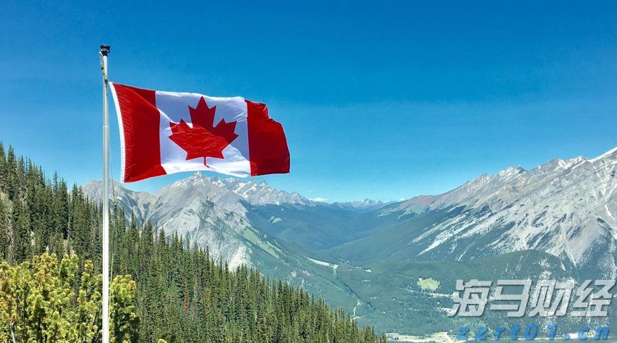 24小时“飞”越万里 湛江荔枝搭乘京东“鲜”达新疆