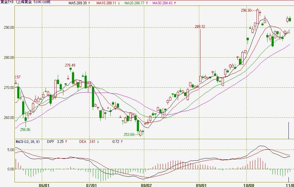 好大一“鸵”！鸵鸟来了广东也能被养成“走地鸡”