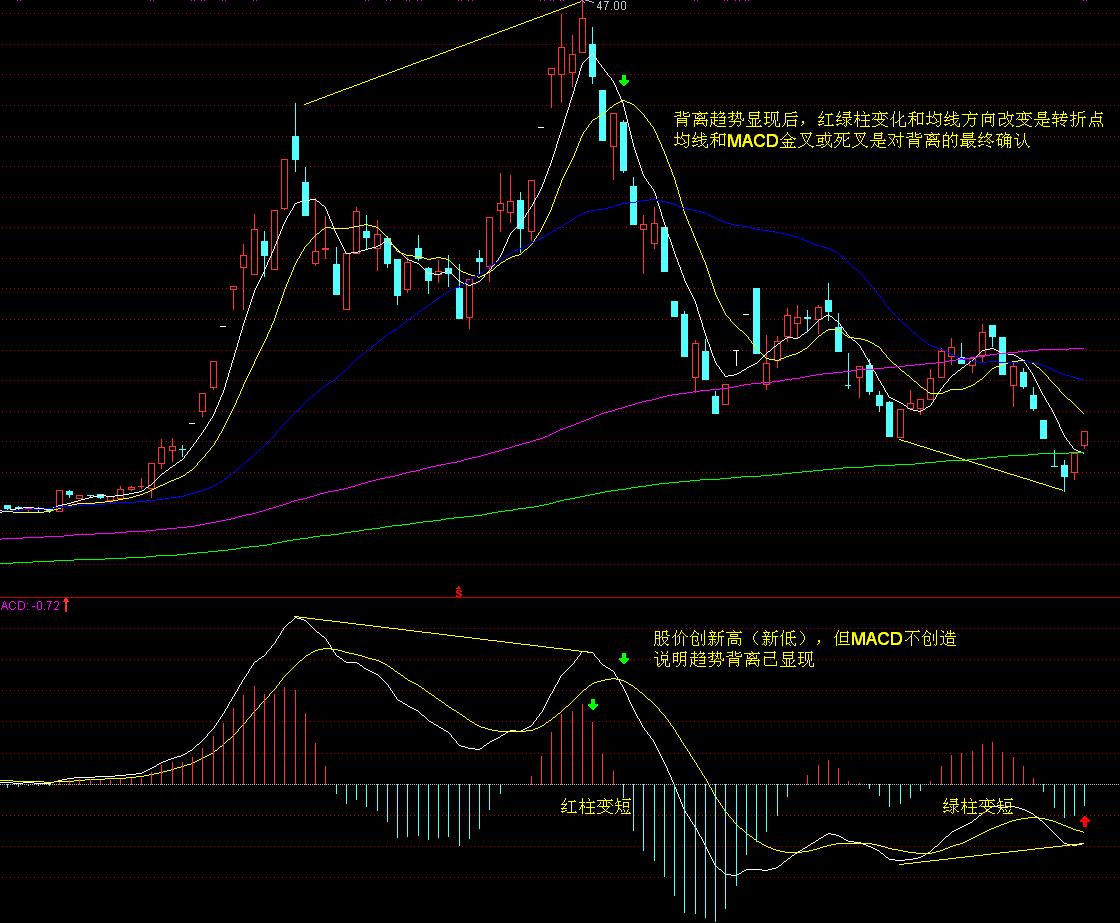 梅州试点打造森林可持续经营现代化国有林场