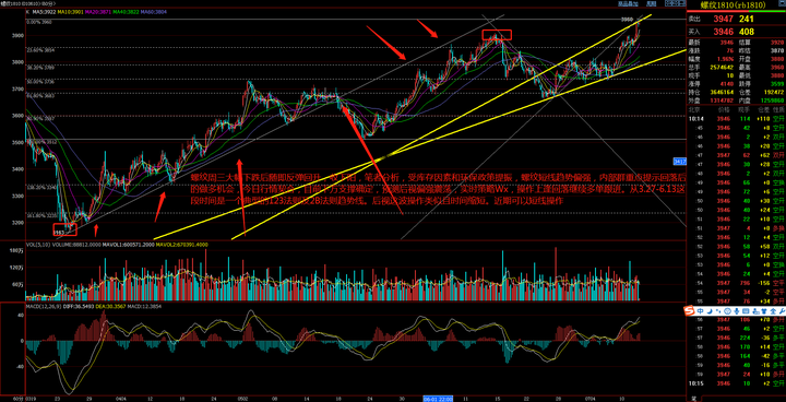 年度“最小太阳”登场